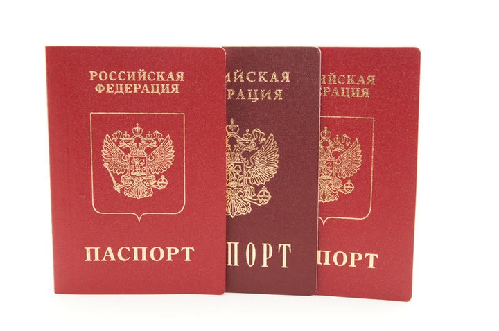 За хорошее знание русского языка и готовность переехать в Россию будут давать российское гражданство