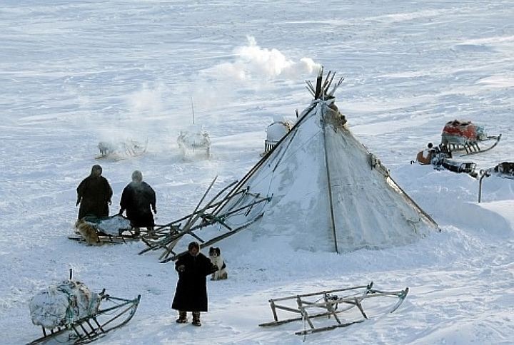 Ямальские оленеводы пригласили чиновников в чум для разговора