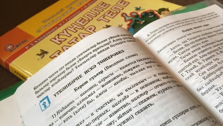 Добровольность изучения языков в школах Татарстана проверят до 27 октября