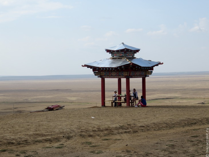 Одинокий тополь: священное место в Калмыкии - Национальный акцент