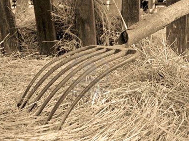 В Саратовской области задержан уроженец Чечни, напавший на полицейского с вилами