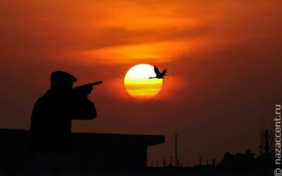 На Чукотке завели дело на убившего гусей ради фотографии охотника
