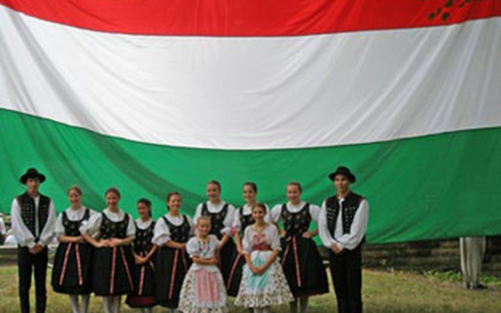 Венгры