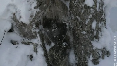 На Ямале исследовали еще одно редкое селькупское порге
