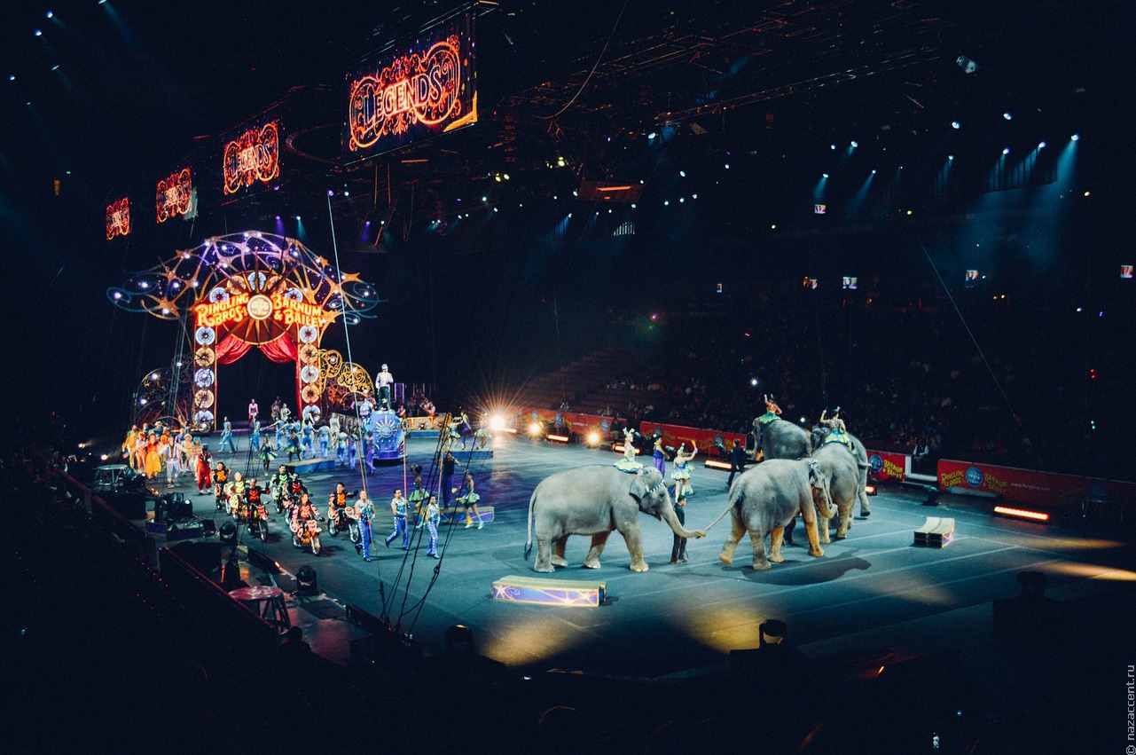 В Ижевске проверяют выступление цирковых животных со свастикой