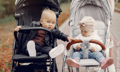 Названо государственное слово 2025 года