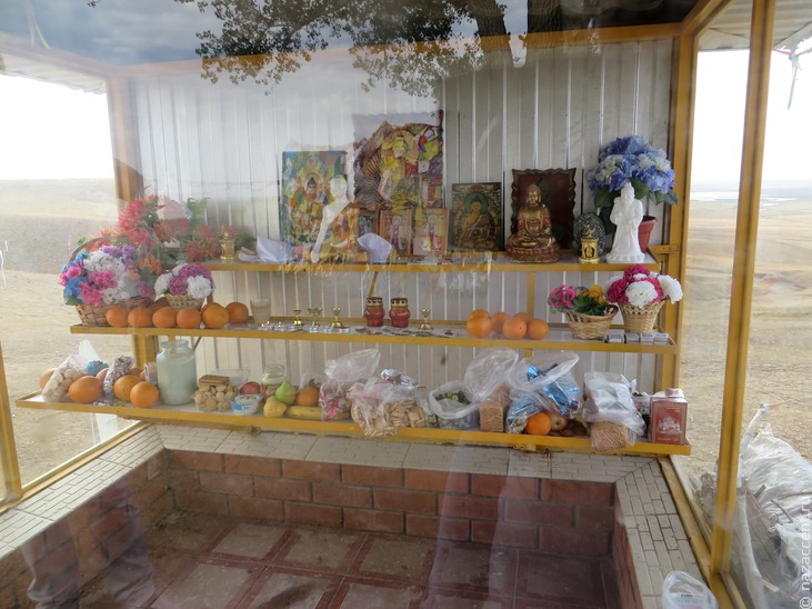 Одинокий тополь: священное место в Калмыкии - Национальный акцент