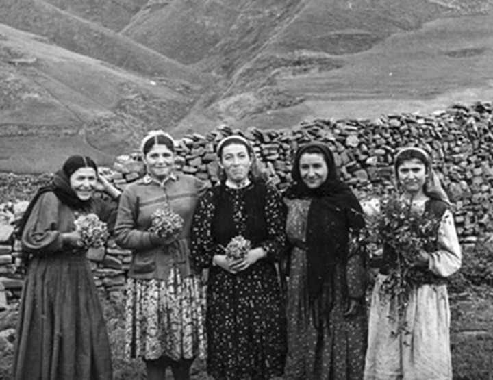 Агулы
