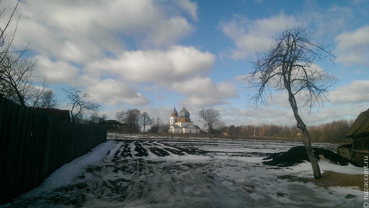 Ардонь брянская область