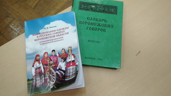 В Воронеже рассказали о региональных диалектах