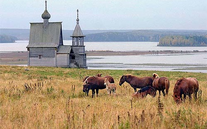 Архангельская область