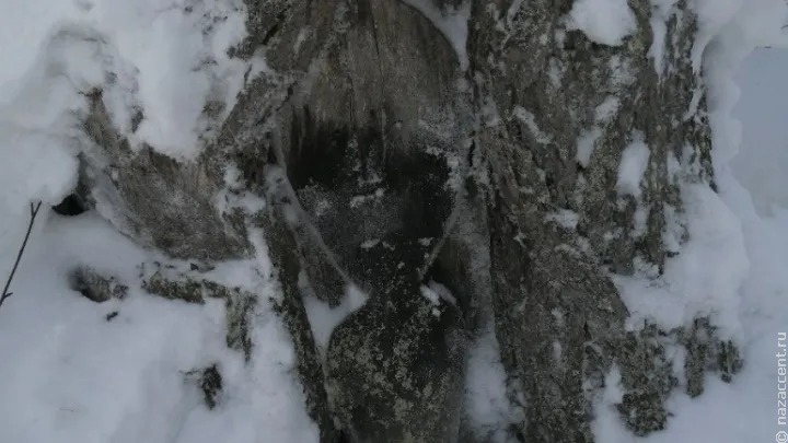 На Ямале исследовали еще одно редкое селькупское порге