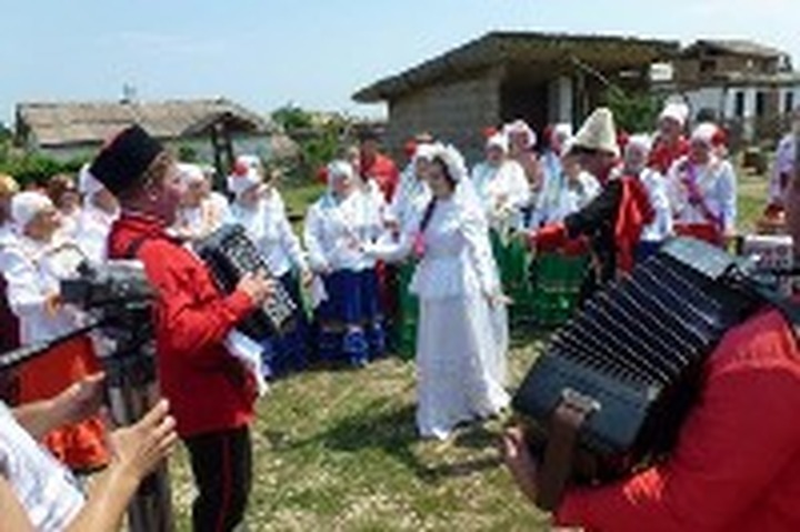 Свадебный переполох учинили на Кубани