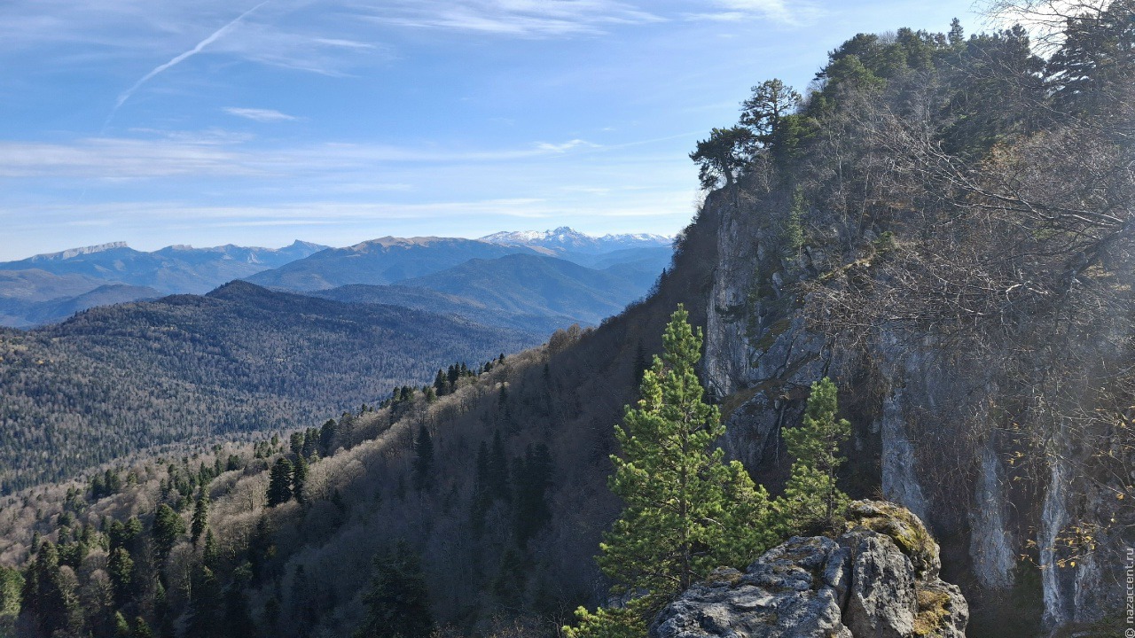 Вертикаль и горизонталь этого мира