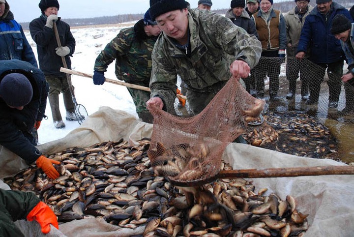 Минсельхоз попросили упростить доступ к рыболовству для коренных народов