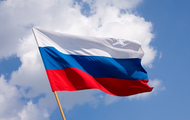 Диаспоры призвали Россию использовать их в качестве "мягкой силы"