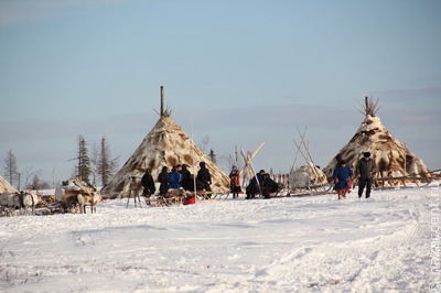 В Госдуму внесли законопроект о кочевом обучении для детей коренных малочисленных народов