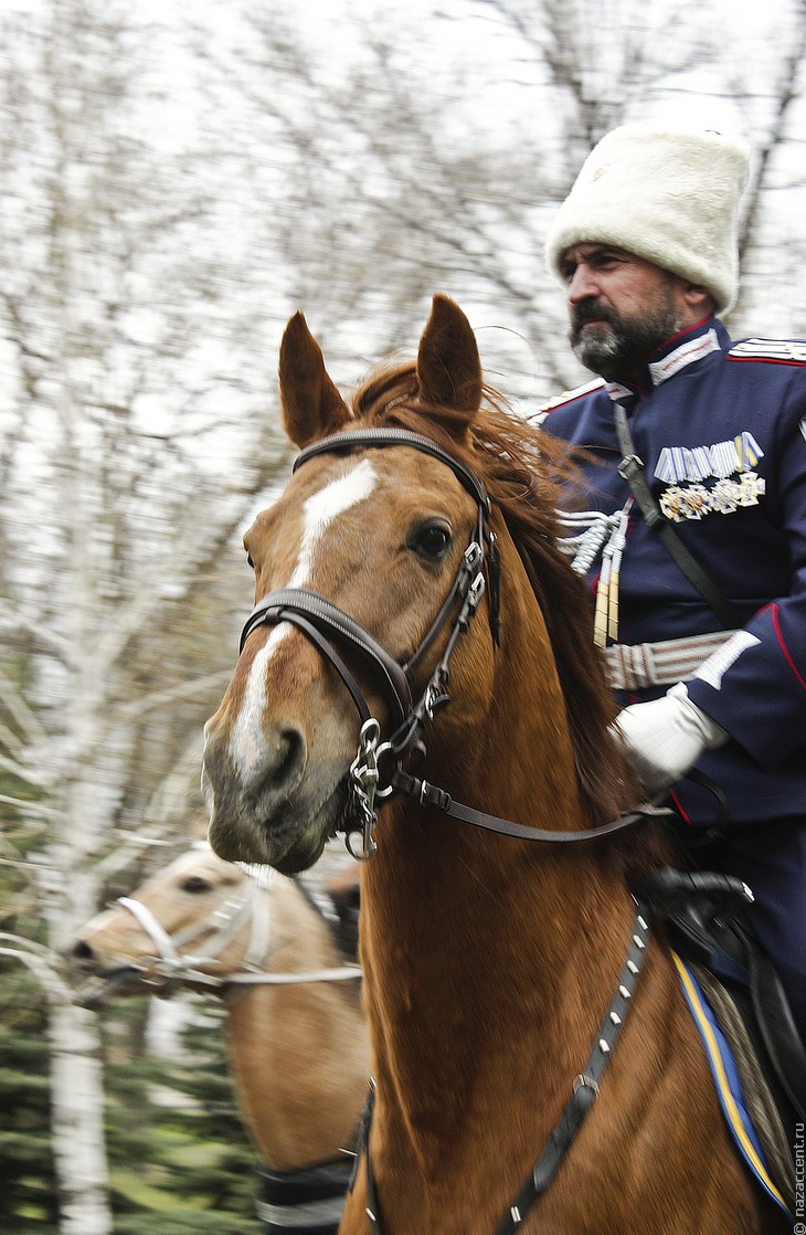 Старт казачьего конного перехода из Волгограда в Севастополь - Национальный акцент