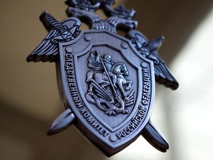 СК возбудил уголовные дела за фотографии нацистов в "Бессмертном полку"