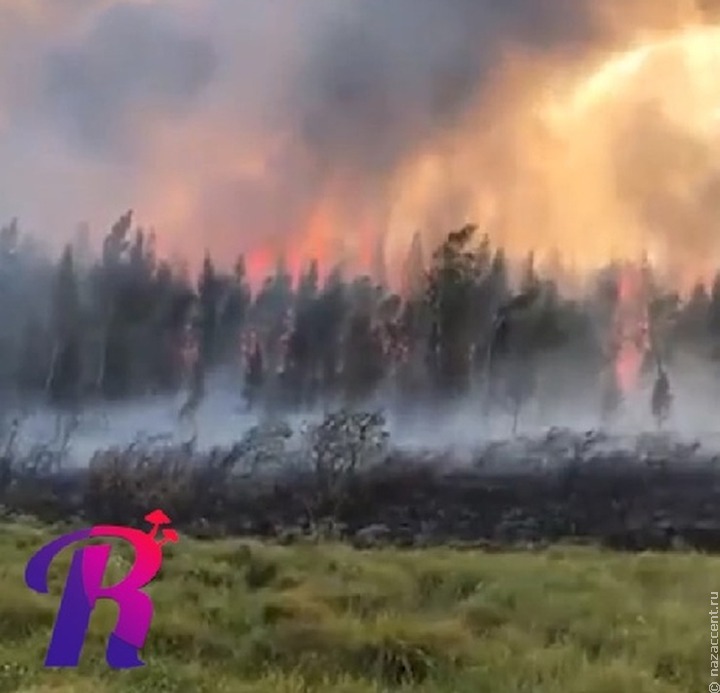 Жителей якутского села эвакуировали из-за приближающегося лесного пожара