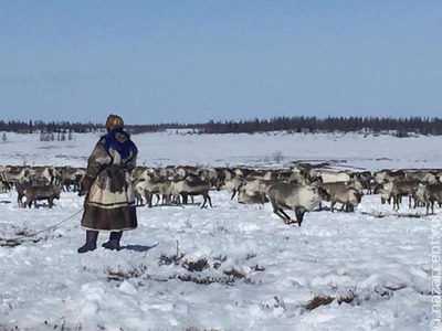 В России утвердили ГОСТы по арктическому туризму