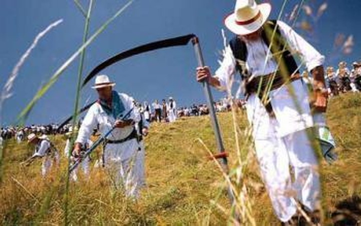 В Свердловской области проведут международный турнир косарей