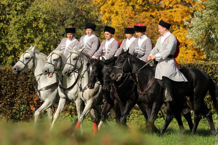 Казаки фото и картинки